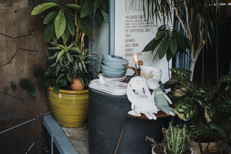 Lutoya olla with plant
